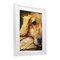 Stupell Industries Sight of Golden Retriever Framed Print Under Glass, design by George Dyachenko
